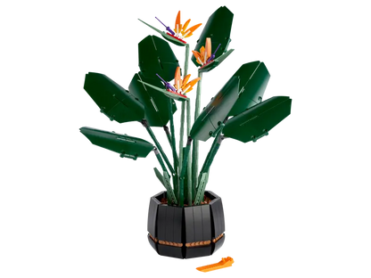 LEGO® Botanicals Paradisfågel 10289