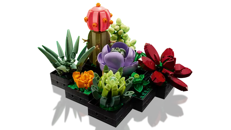 LEGO® Botanicals Suckulenter 10309
