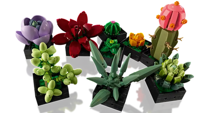 LEGO® Botanicals Suckulenter 10309