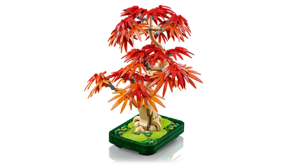 LEGO® Botanicals Japansk röd lönn – bonsaiträd 10348