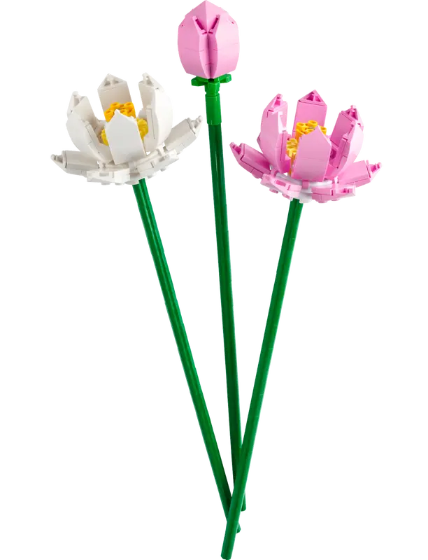LEGO® Botanicals Lotusblommor 40647