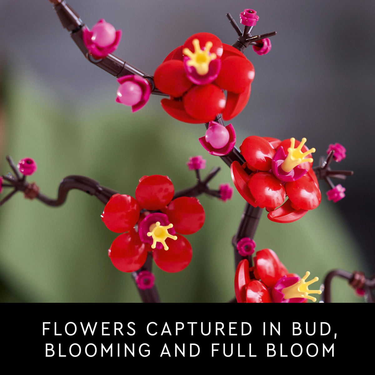 LEGO® Botanicals Plommonblomma 10369